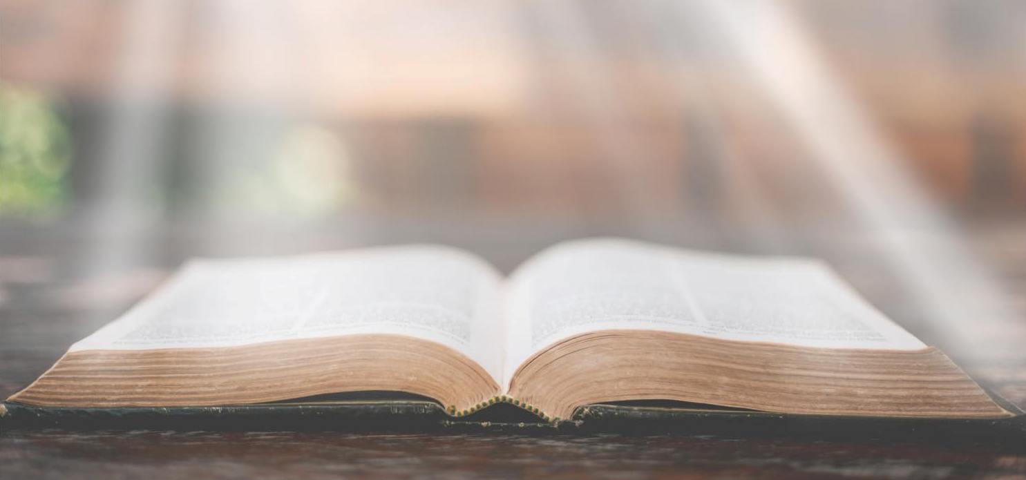 open bible with sunlight shinning on it